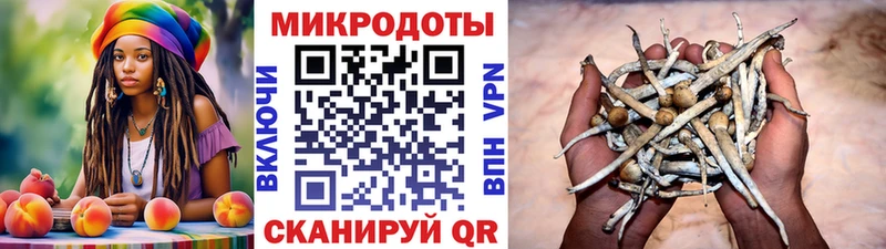 Псилоцибиновые грибы MAGIC MUSHROOMS  Полярные Зори 