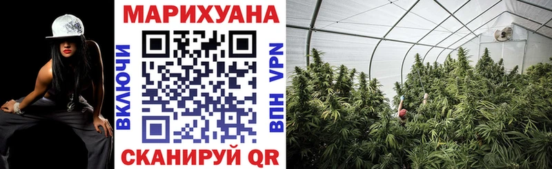 Марихуана гибрид Полярные Зори